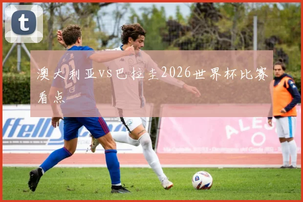澳大利亚vs巴拉圭2026世界杯比赛看点