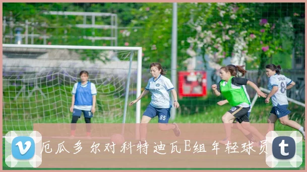 厄瓜多尔对科特迪瓦E组年轻球员