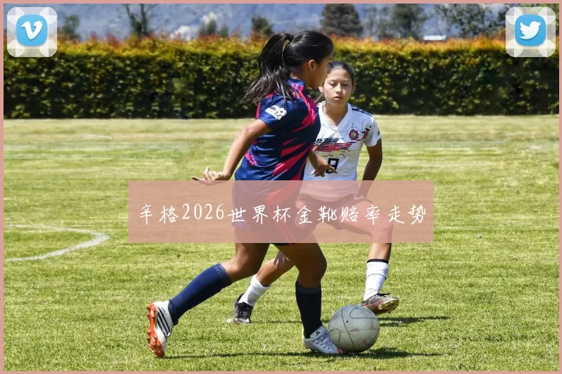 辛格2026世界杯金靴赔率走势