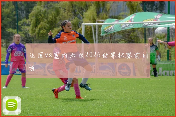 法国vs塞内加尔2026世界杯赛前训练