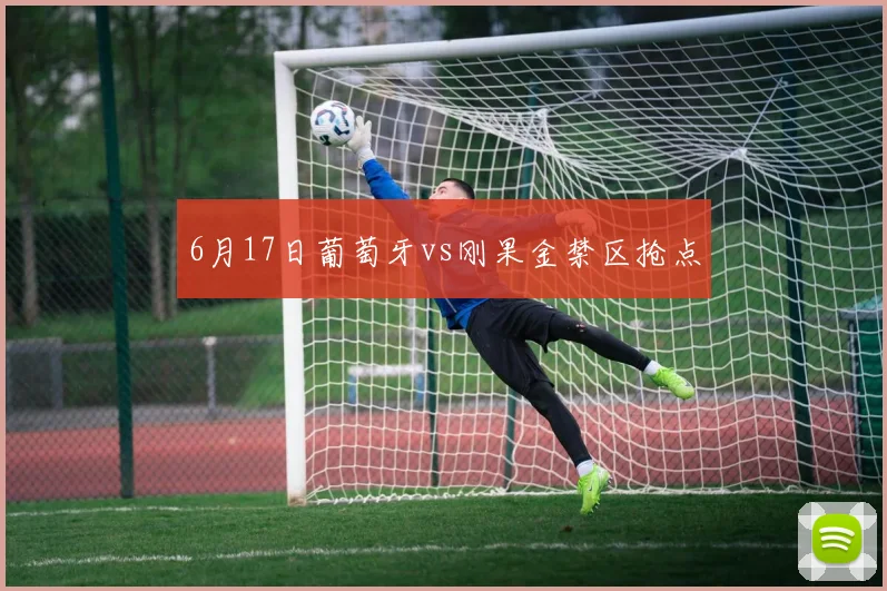 6月17日葡萄牙vs刚果金禁区抢点